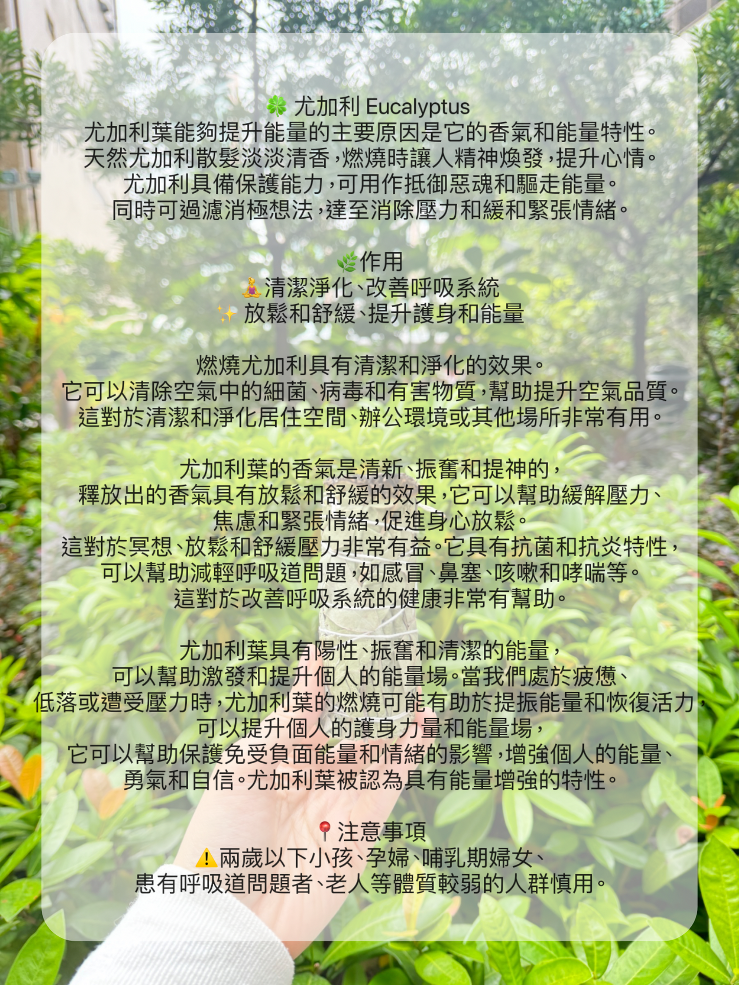 🌿療癒心靈· 最強淨化·最齊全草杖套裝