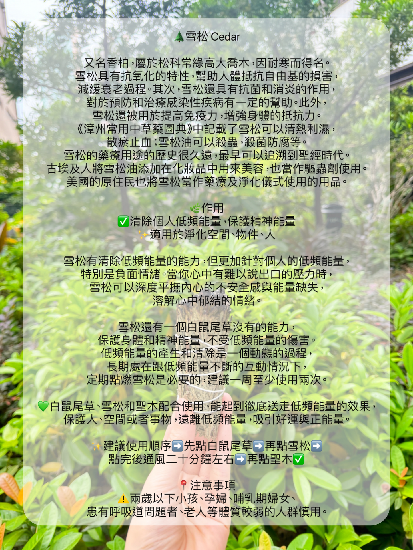 🌿療癒心靈· 最強淨化·最齊全草杖套裝