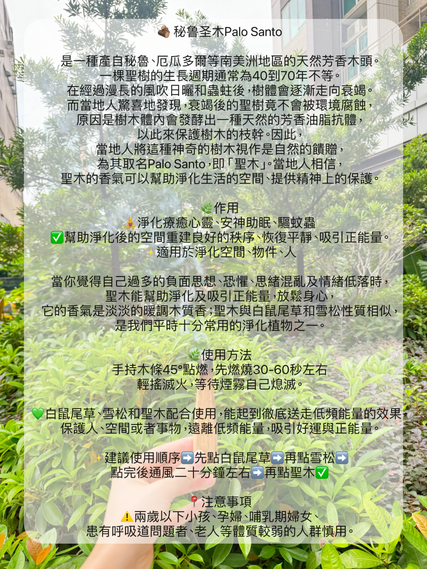 🌿療癒心靈· 最強淨化·最齊全草杖套裝