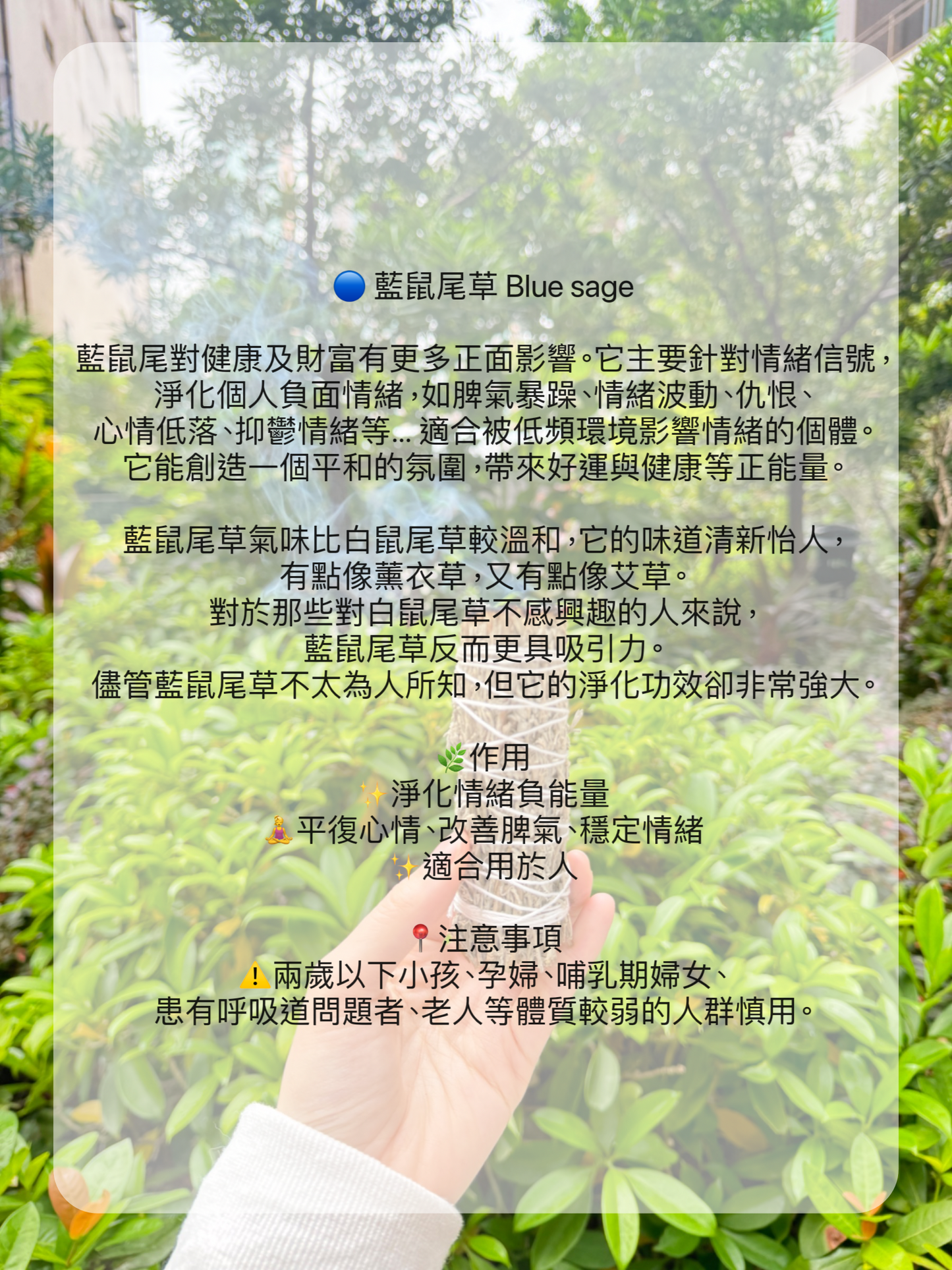 🌿療癒心靈· 最強淨化·最齊全草杖套裝