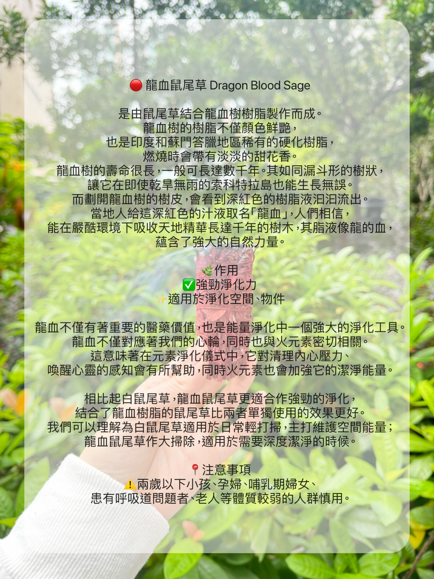 🌿療癒心靈· 最強淨化·最齊全草杖套裝