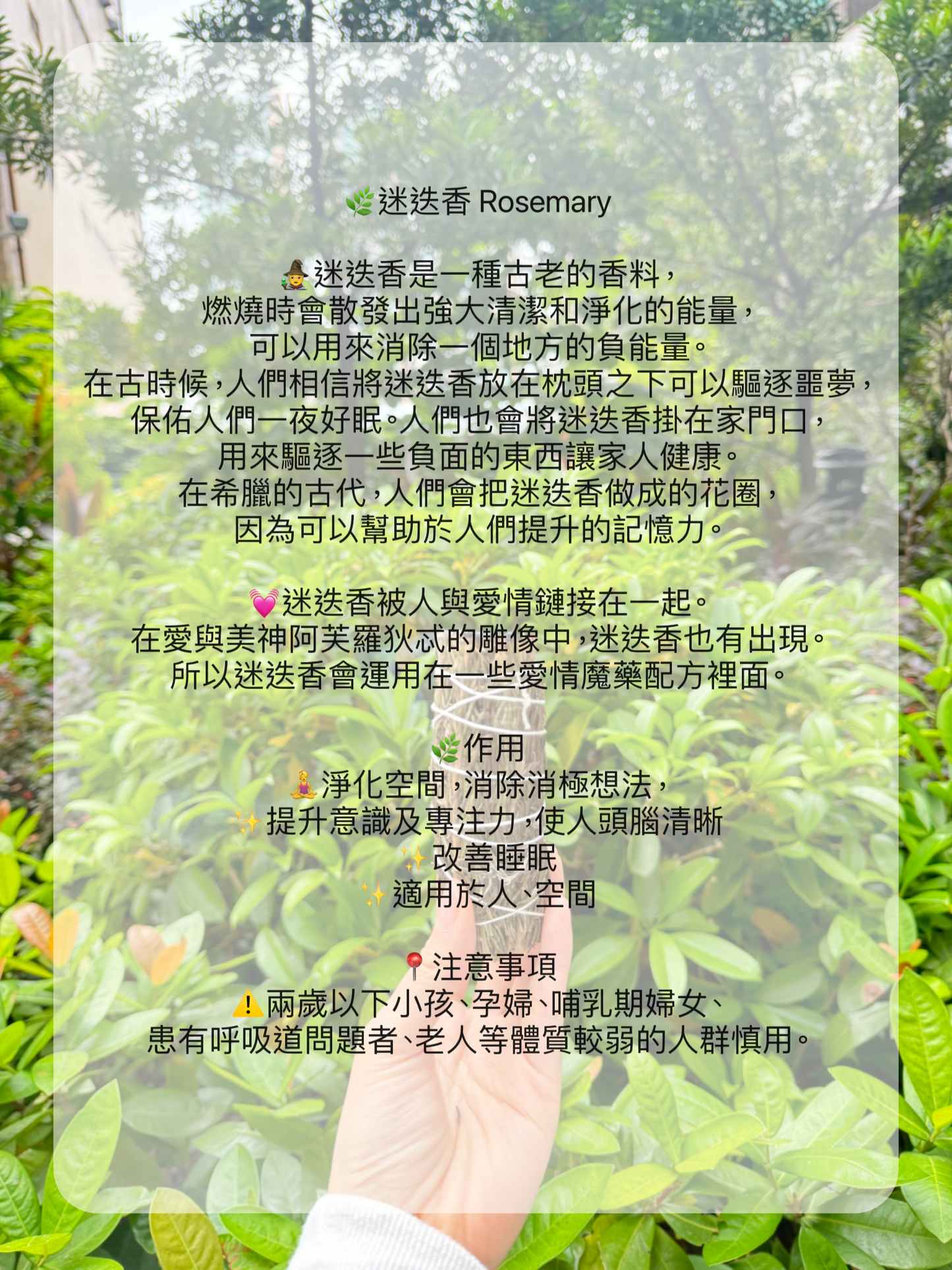 🌿療癒心靈· 最強淨化·最齊全草杖套裝