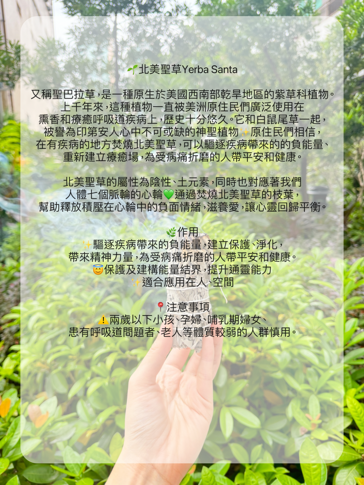 🌿療癒心靈· 最強淨化·最齊全草杖套裝